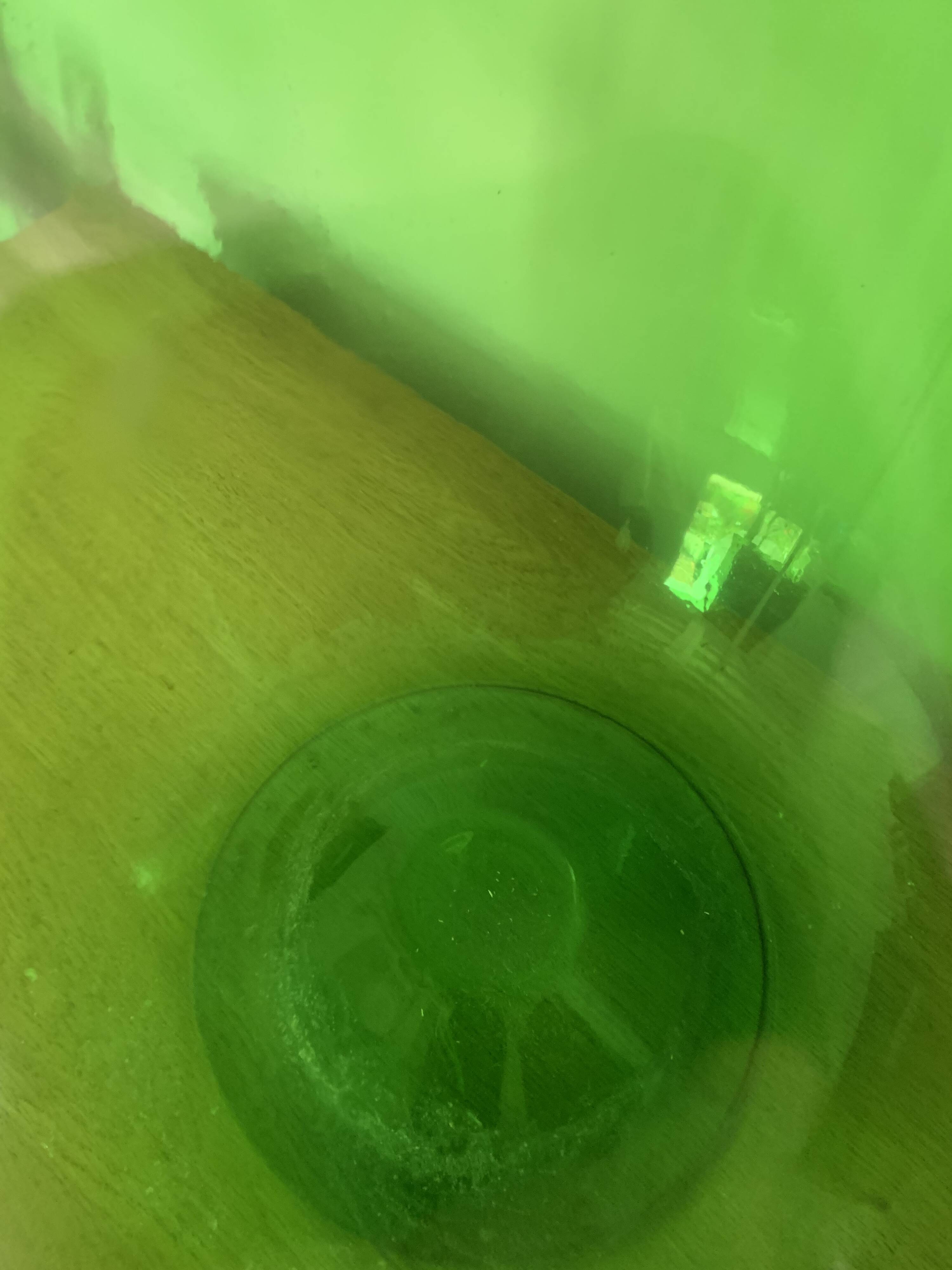 Green lady jeanne 20L