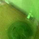 Green lady jeanne 20L