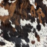 Peau de vache normande ht 240 x 230