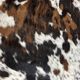 Norman cowhide ht 240 x 230