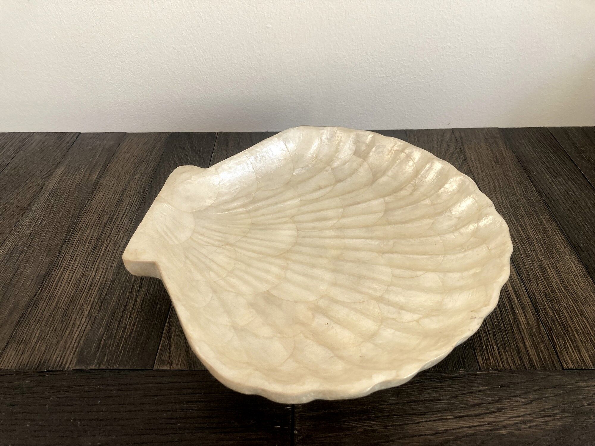 Cup / vacuum vintage pocket in the shape of mother-of-pearl shell