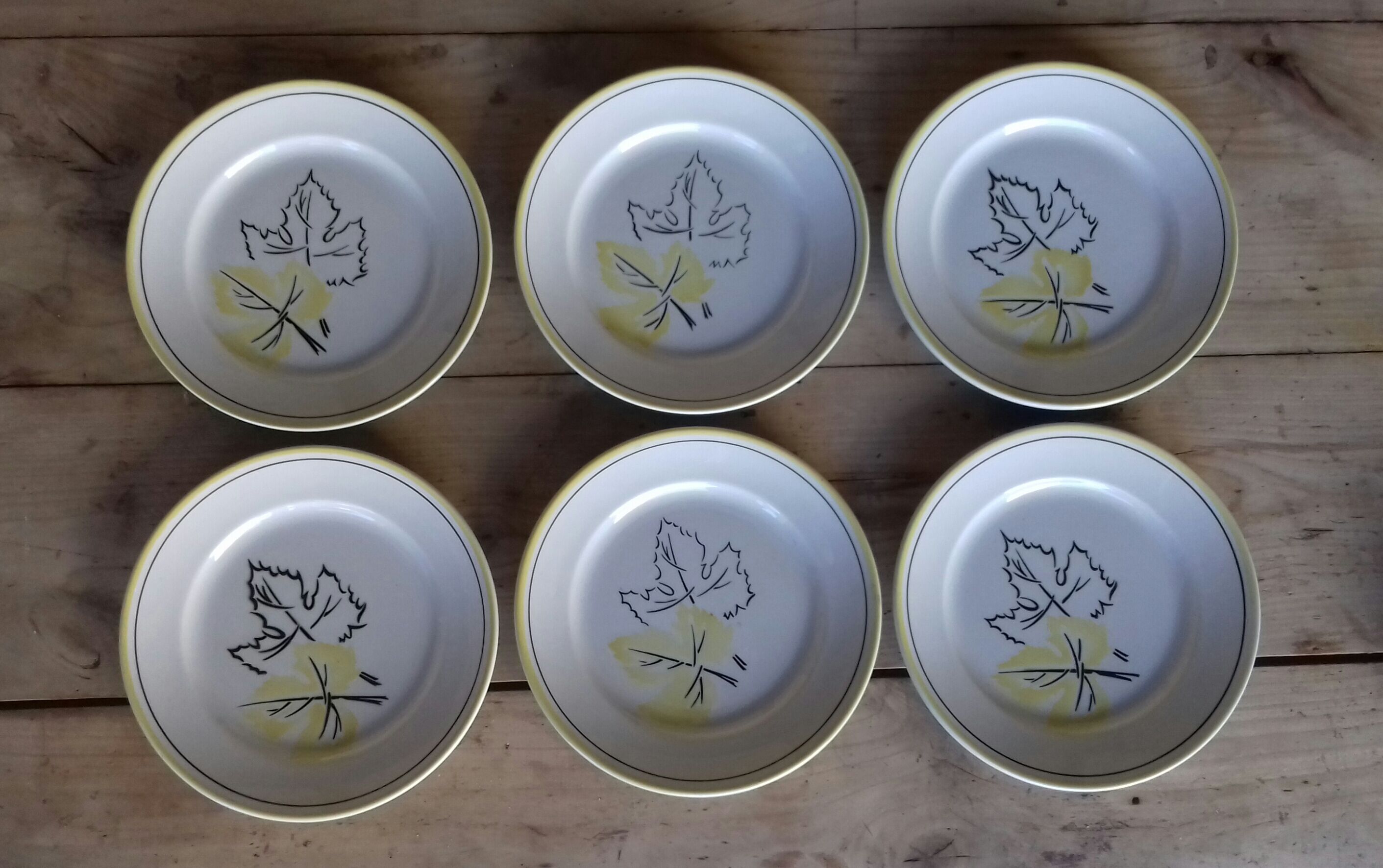 6 flat plates yellow black