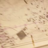 Old map of Oran