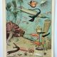 Old engraving 1898, Ocean (deep and abyss), fauna • Lithograph, Original plate