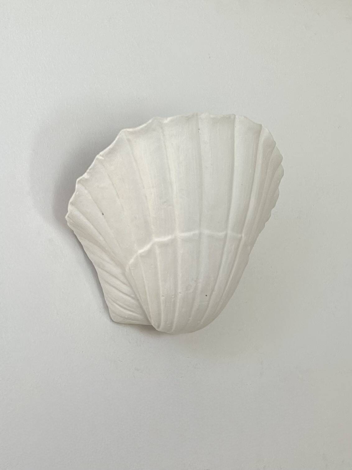 Pair of vintage shell wall lights, matte white plaster, France, 1970.