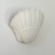 Pair of vintage shell wall lights, matte white plaster, France, 1970.