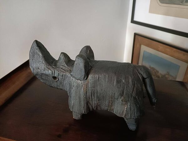 Dominique Pouchain - Rhinocéros