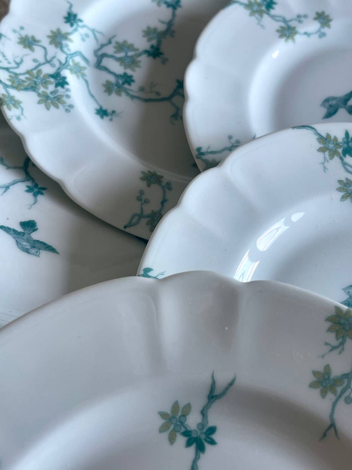12 Haviland Limoges dessert plates.