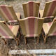 6 lounge chairs in sheepbone and fine fabrics 18/early 19th
