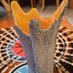 Ceramic vase signed Tess vintage