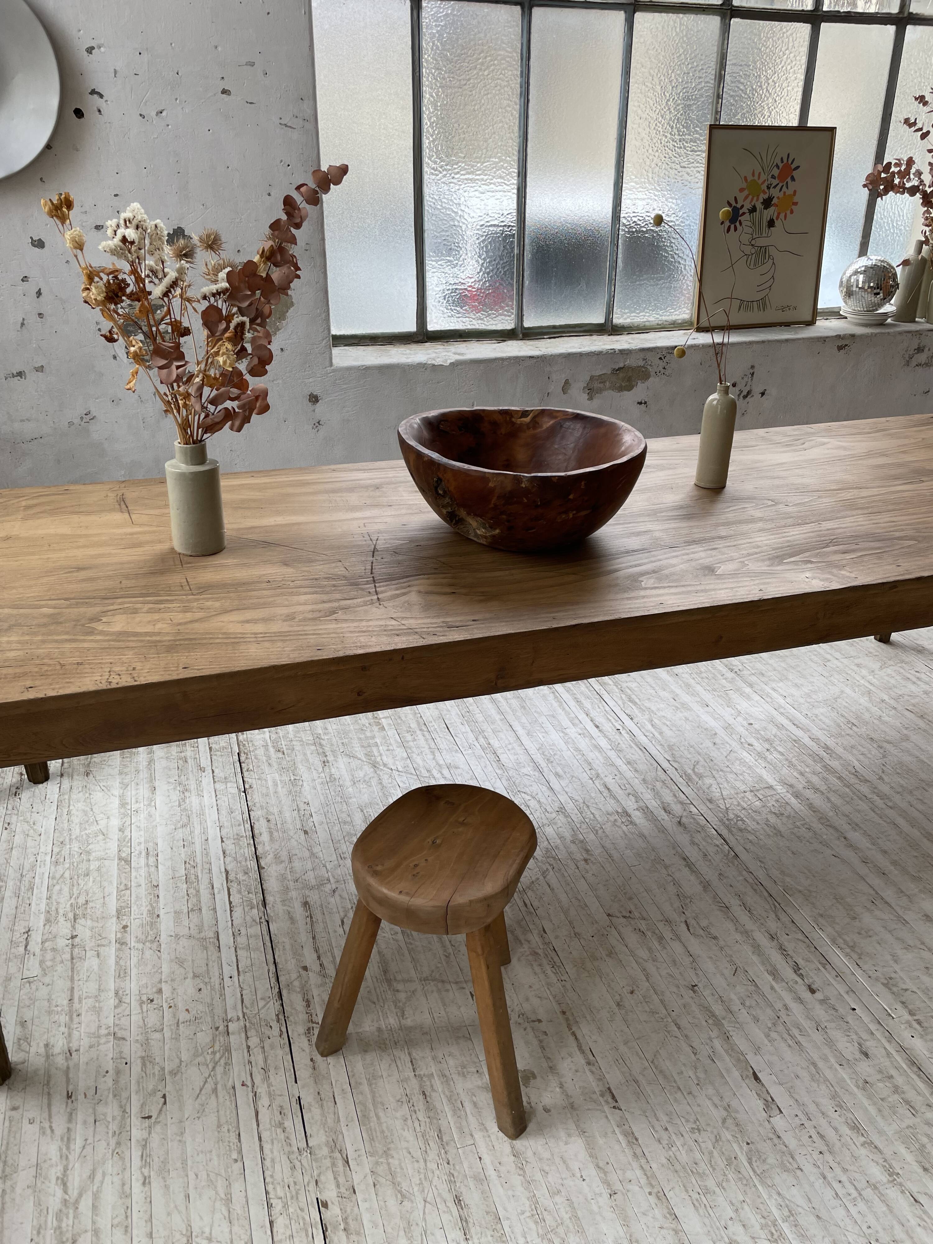 XL thuja root wooden dish