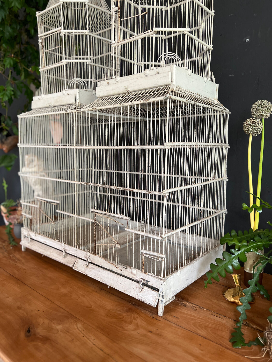 Large old cage napoleon 3