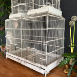 Large old cage napoleon 3