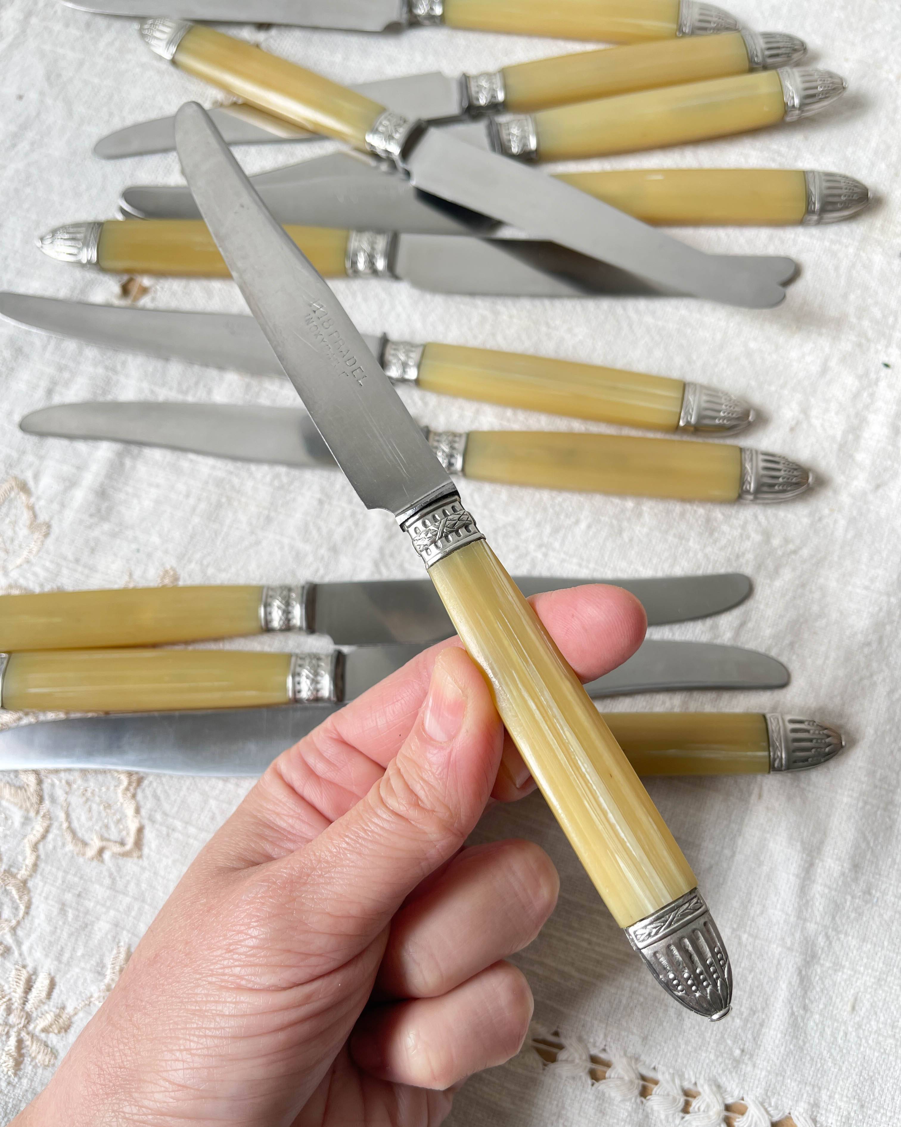 12 couteaux vintage bakélite Inox Pradel