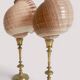 Pair of natural shells on a mid-century Swedish Skultuna brass candelabrum.