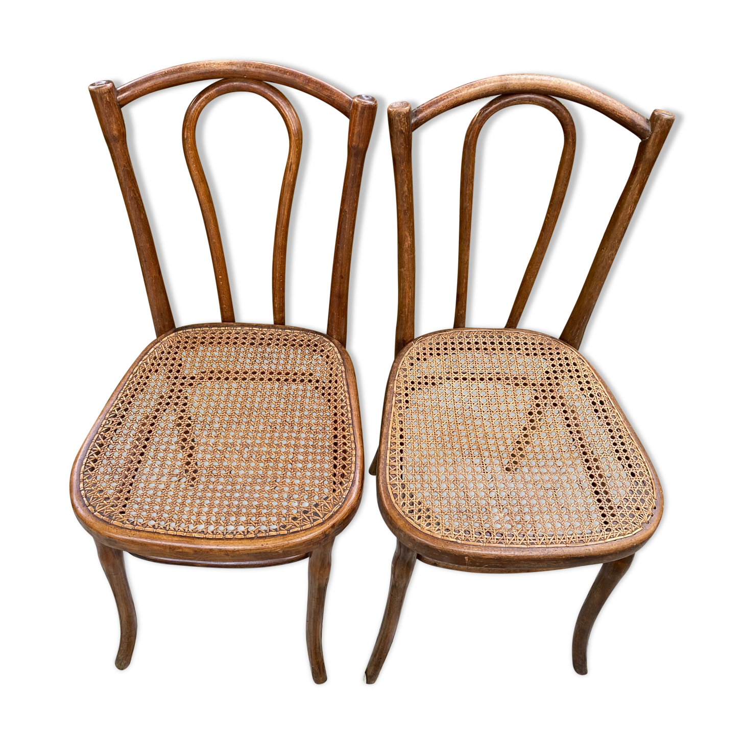 Duo of chairs Thonet bistro