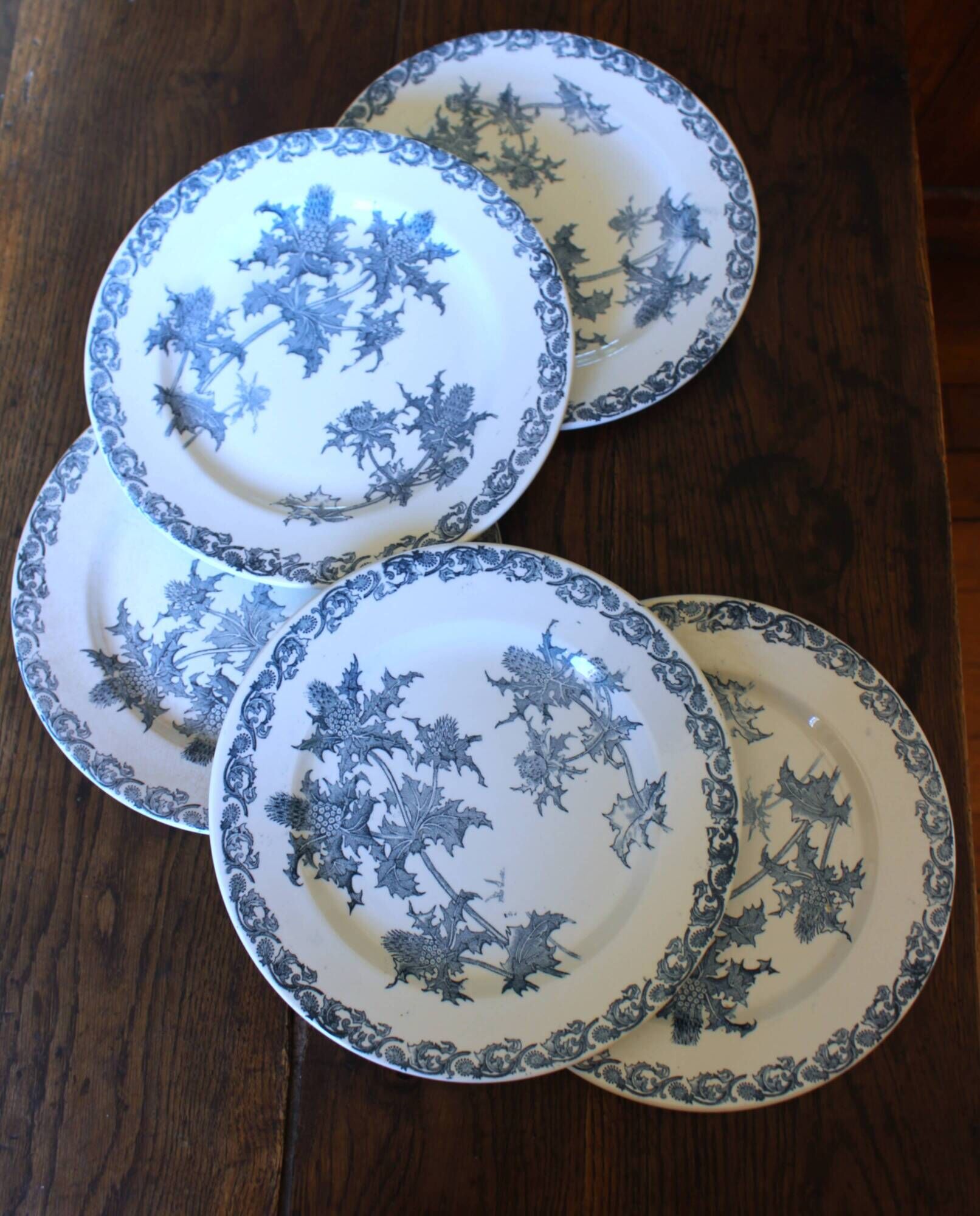 A set of 5 flat plates Chardon Bleu Terre de Fer Clairefontaine Righi