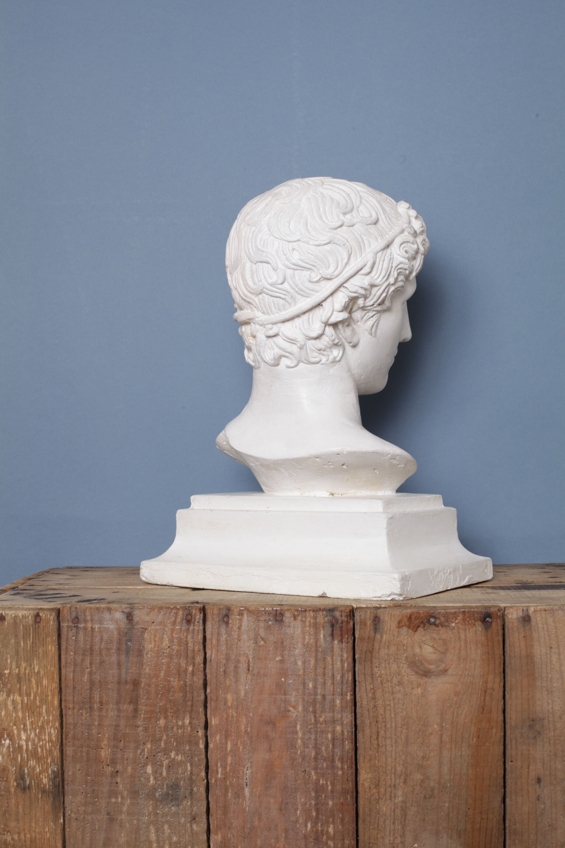 Roman head in waxed plaster