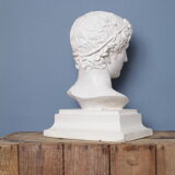 Roman head in waxed plaster