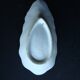 Coupelle porcelaine coquillage / huitre