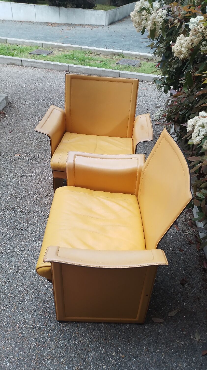 Fauteuils Matteo Grassi