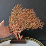 Red Gorgon Wooden Base. H: 32 cm | Decorative Object & Curiosity