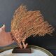 Red Gorgon Wooden Base. H: 32 cm | Decorative Object & Curiosity