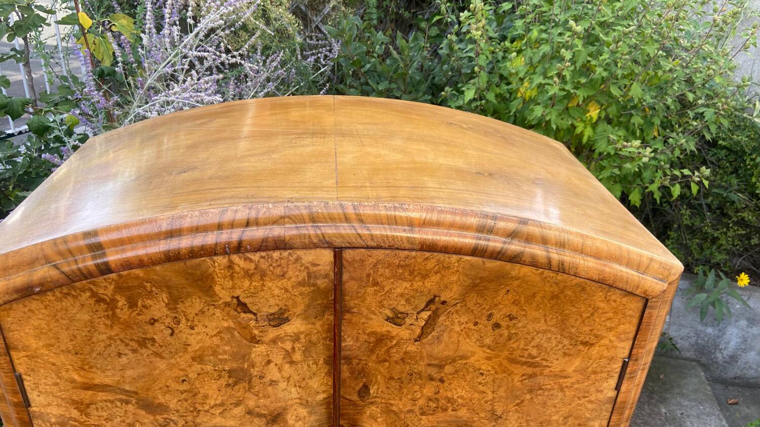 Small Art Deco cabinet 1930 in elm burl