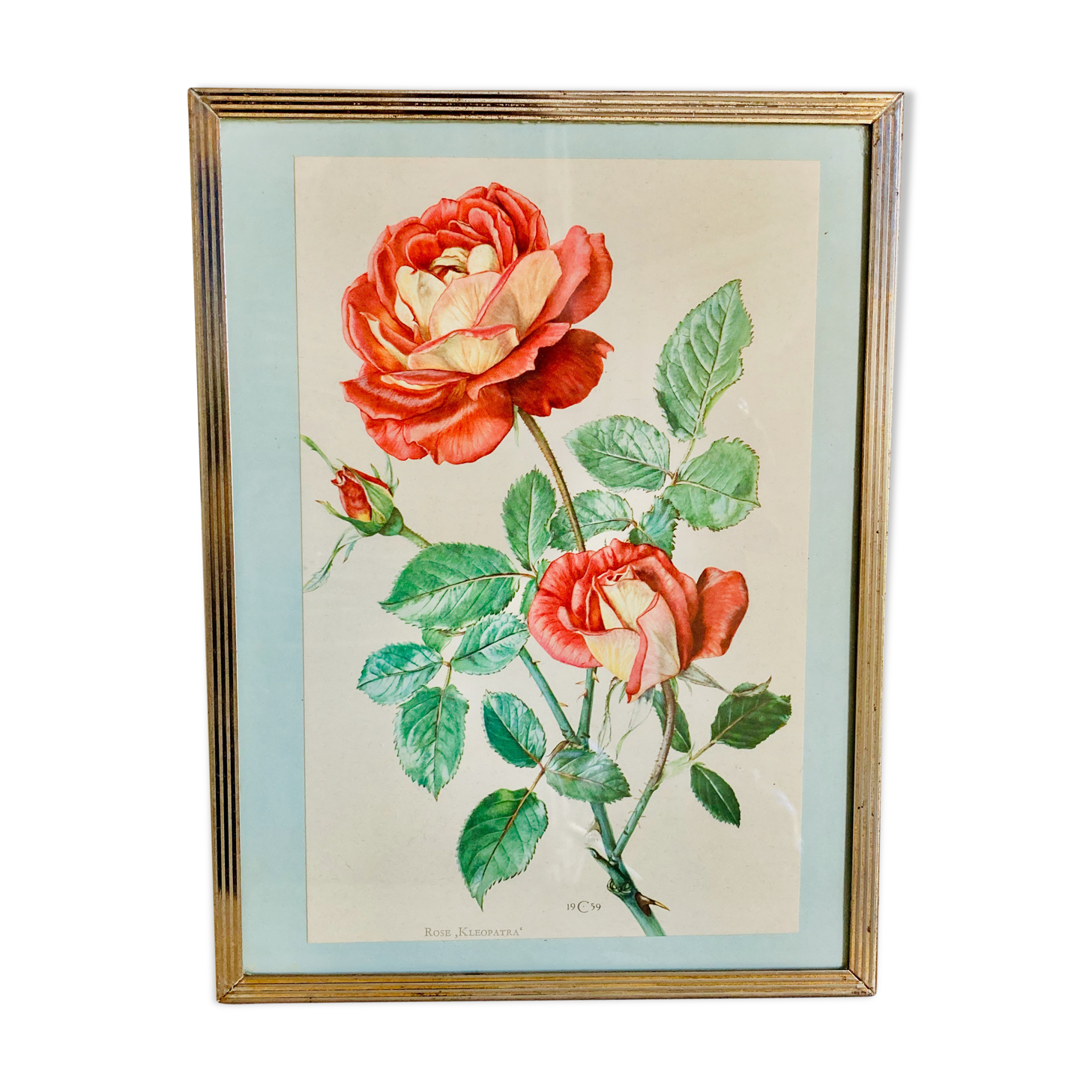 Botanical flower plank framed brass