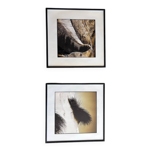 lot de 2 tirages du photographe