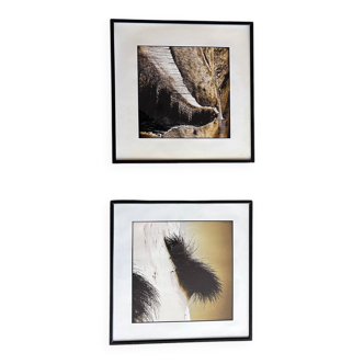 Set of 2 prints by the photographer Manfred Seelow.