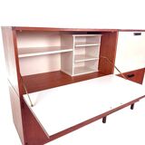 Vintage made to measure cabinet by Cees Braakman for Pastoe in teak - 1960s design