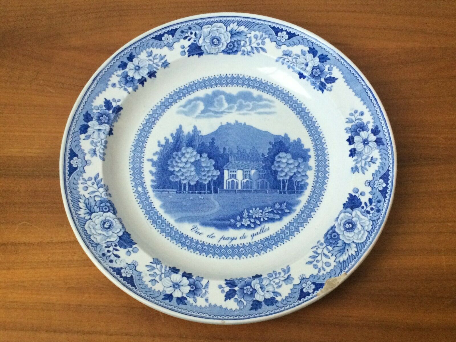 Gien earthenware plate seen from Wales