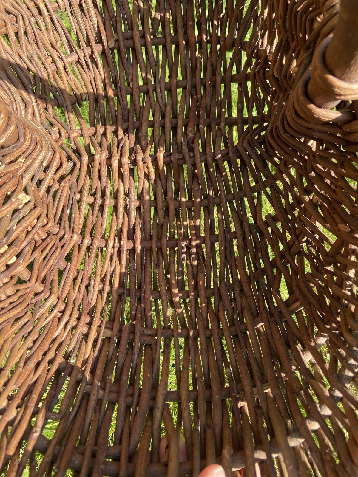 Basket with wicker handle picking vegetable garden mushrooms