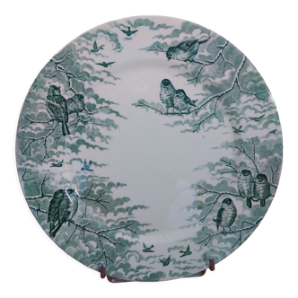 Plate flat iron earth Sarreguemines Snow