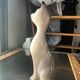 Vintage Siamese Cat Statuette - Slender Ceramic - Signed