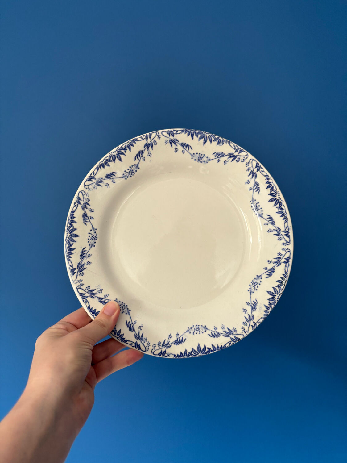 Set of 6 Creil and Montereau Labrador dinner plates – Mir model