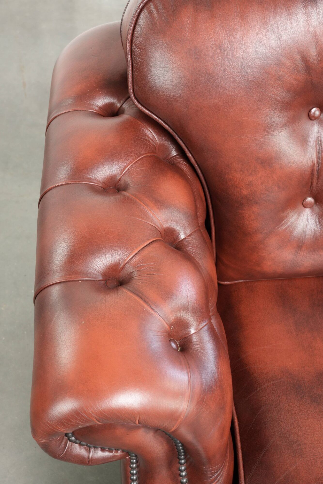 Cowhide chesterfield armchair in a warm brown colour with decorative nails