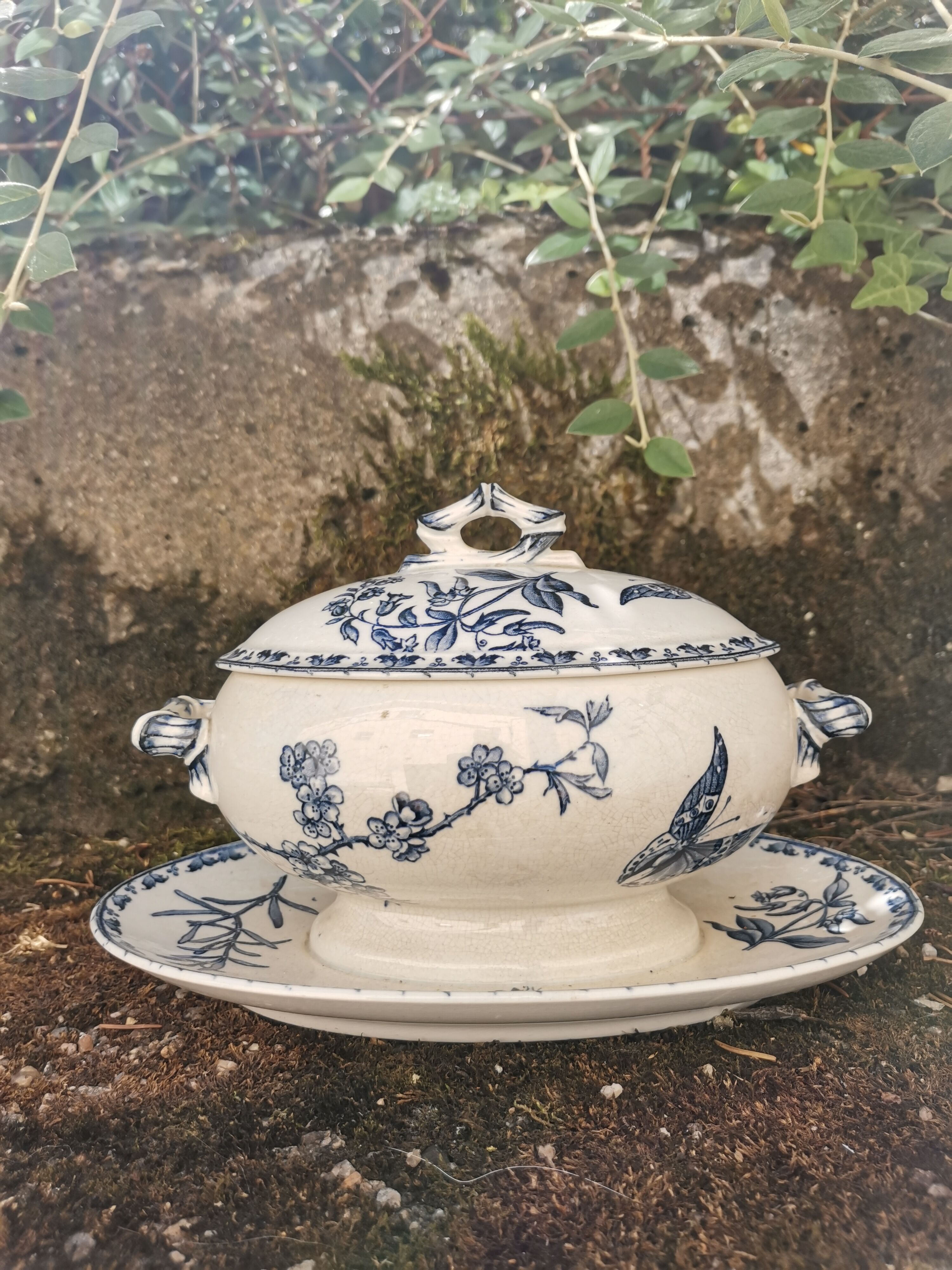 Saucière Sarreguemines Carmen