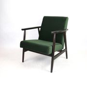 Vintage green olive easy chair, 1970s - dark wood
