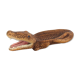 Empty vintage ceramic crocodile pocket