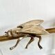 Cendrier mouche vintage