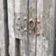 Paire de portes en bois
