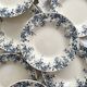 10 "Dodds" ironstone soup plates from Choisy le Roi