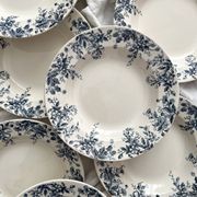 10 "Dodds" ironstone soup plates from Choisy le Roi