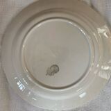 Barbotine plates