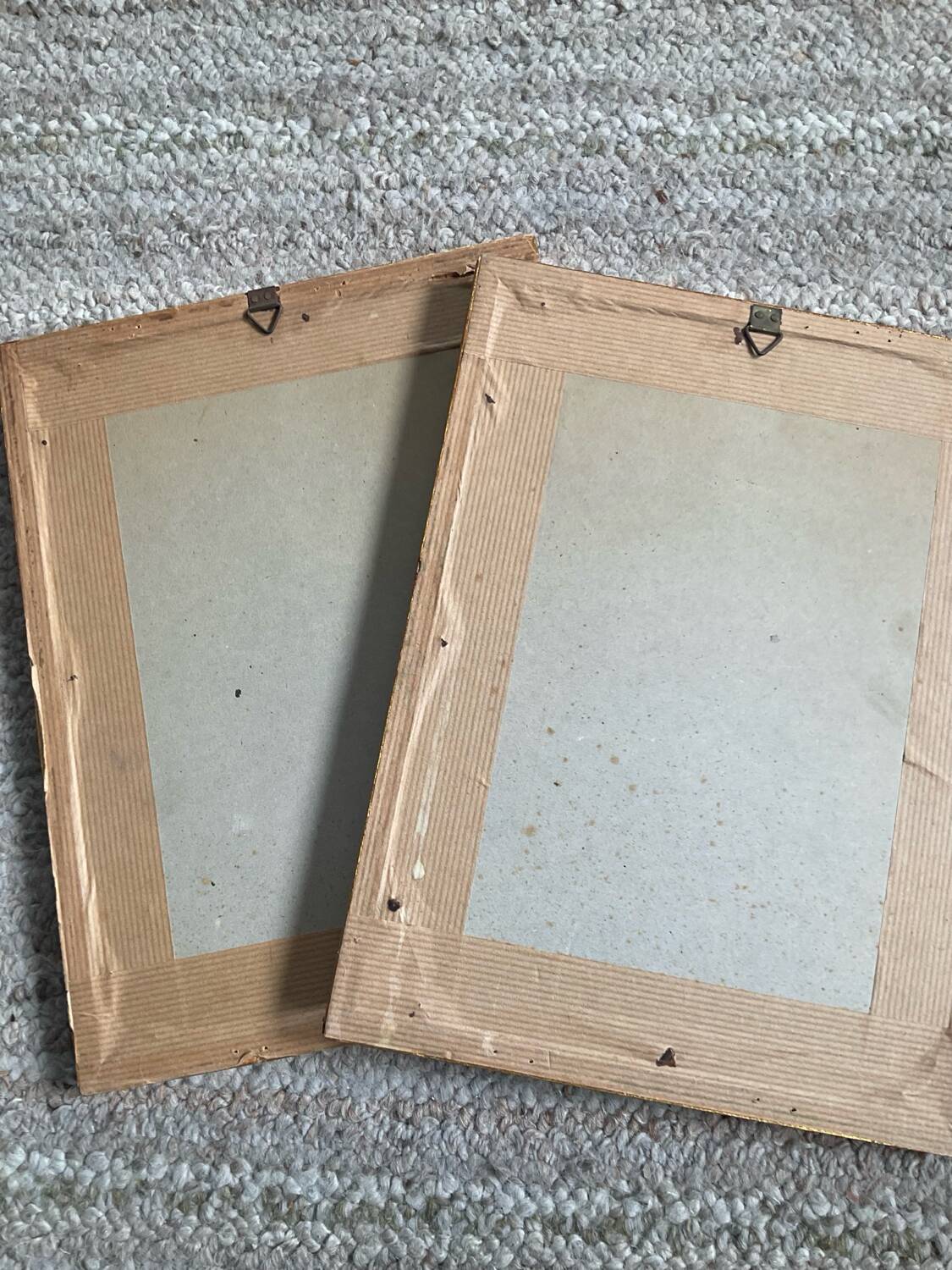 Pair of gilded wooden botanical frames from the 70s