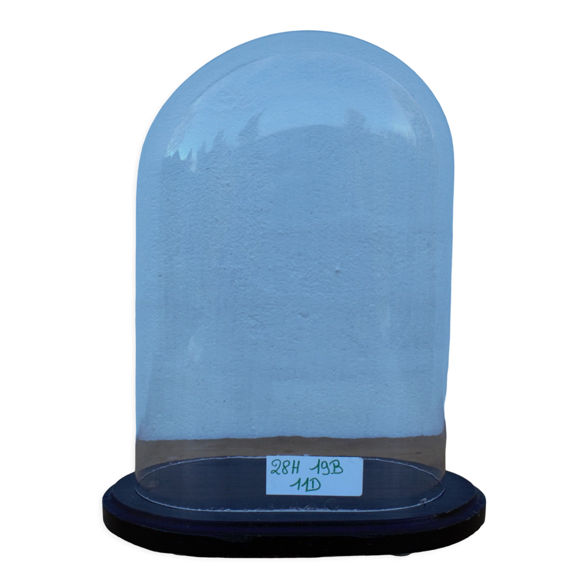 Old oval glass wedding globe 28 cm high glass bell