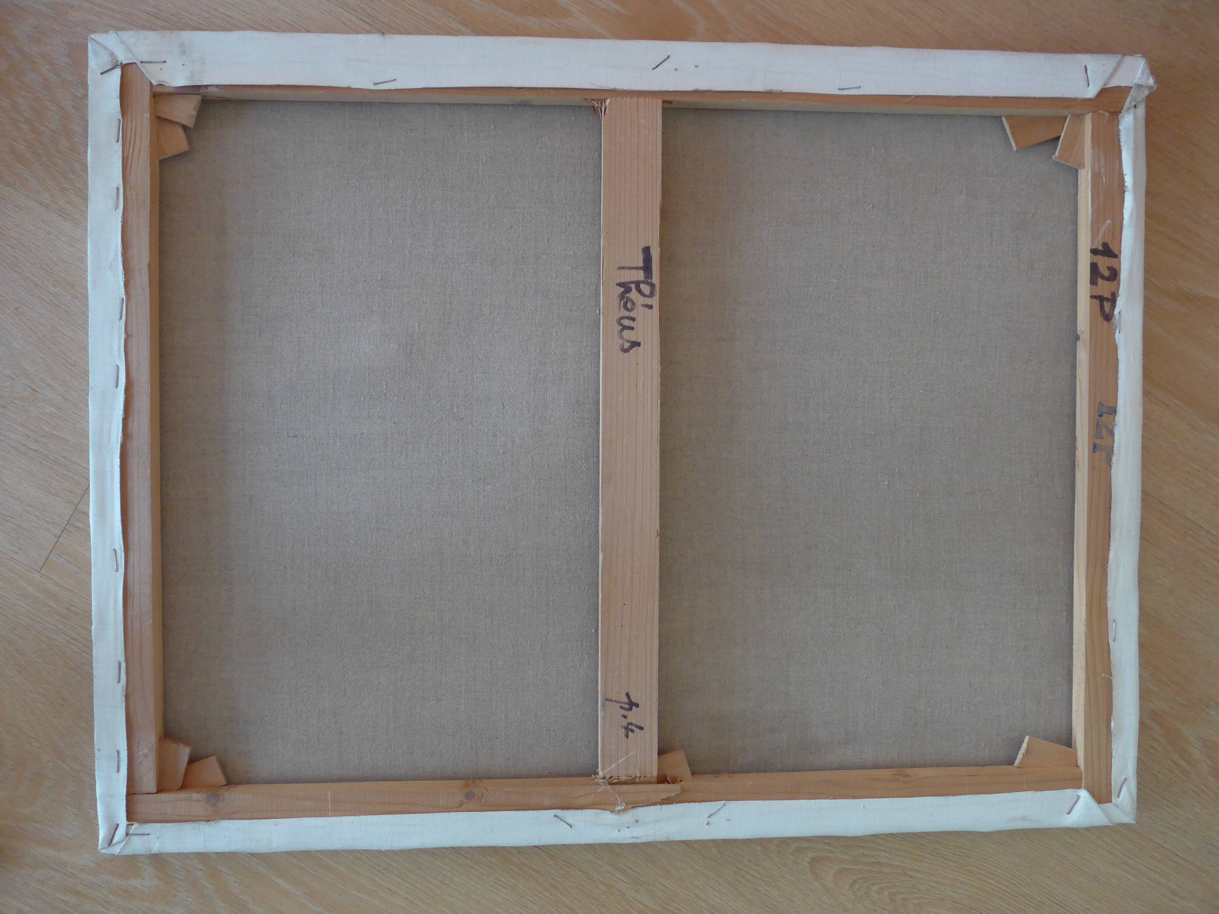 Canvas mountain village