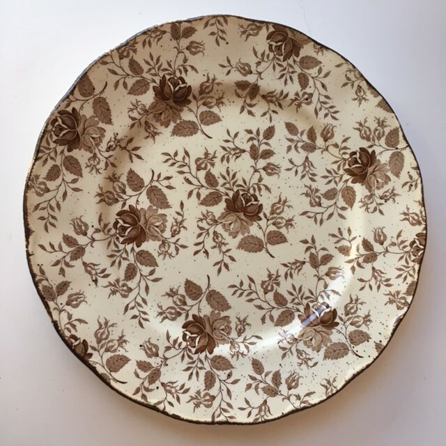 Lot 6 assiettes plates